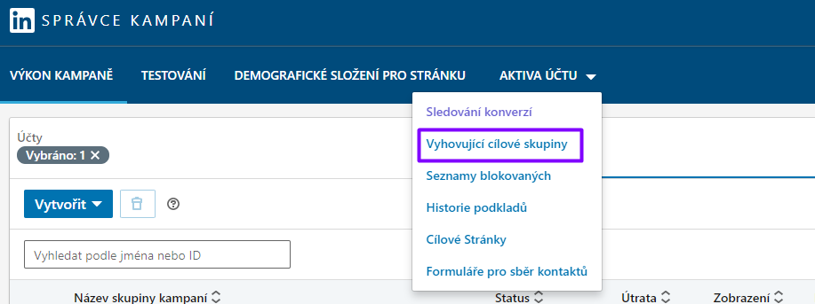 Rozhraní správce kampaní na LinkedInu - výběr publika. Výstřižek je pořízen 15. 3. 2022